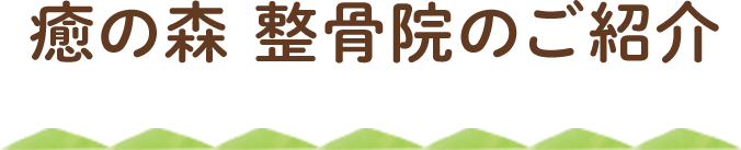 癒の森 整骨院のご紹介